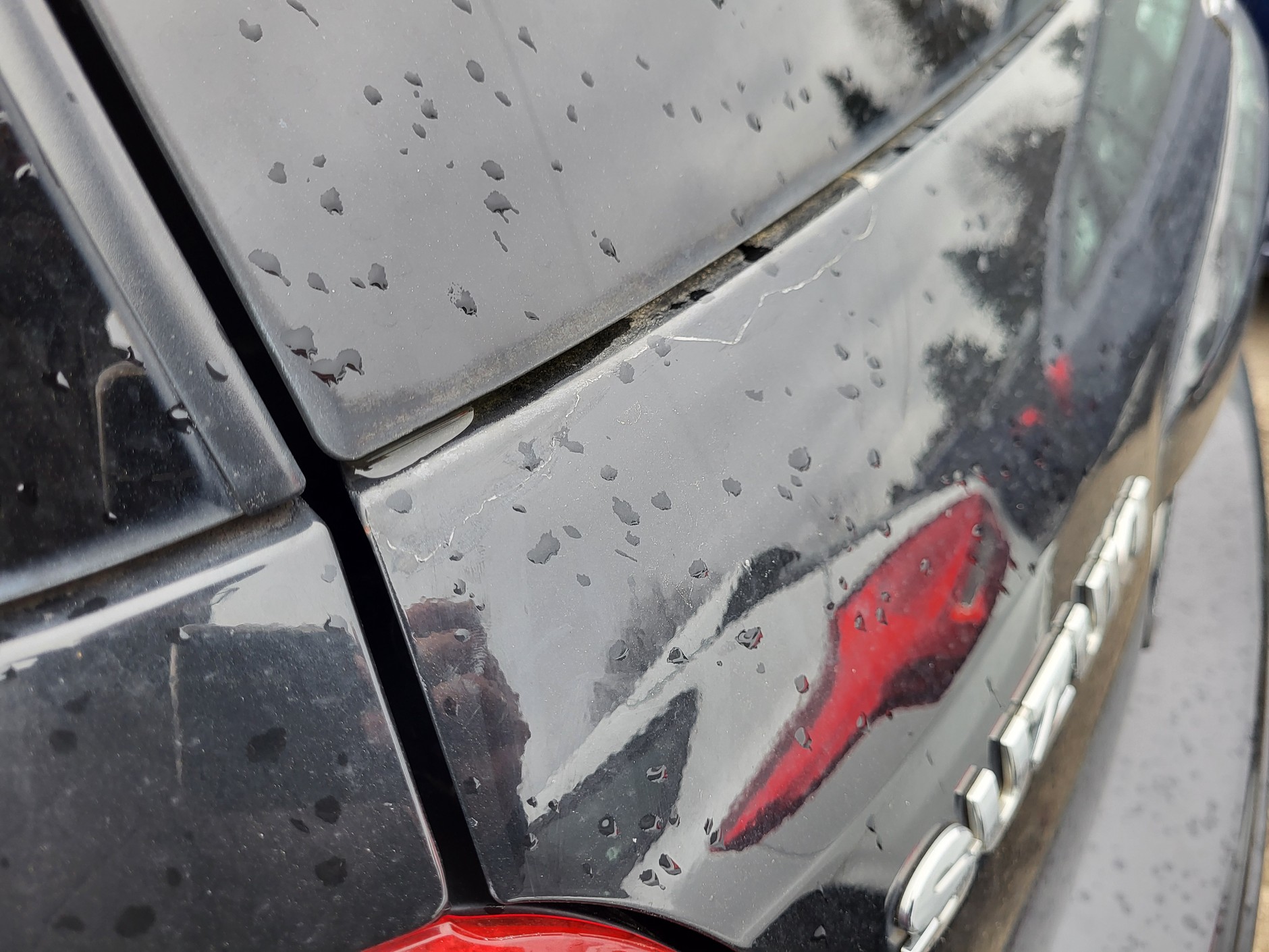 Suzuki SX4 z ogłoszenia
