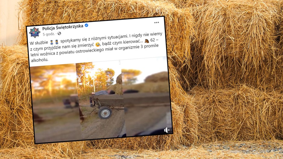 Pijany woźnica leżał na workach z sianem. Miał 3 promile (Screen: Facebook/Policja Świętokrzyska)