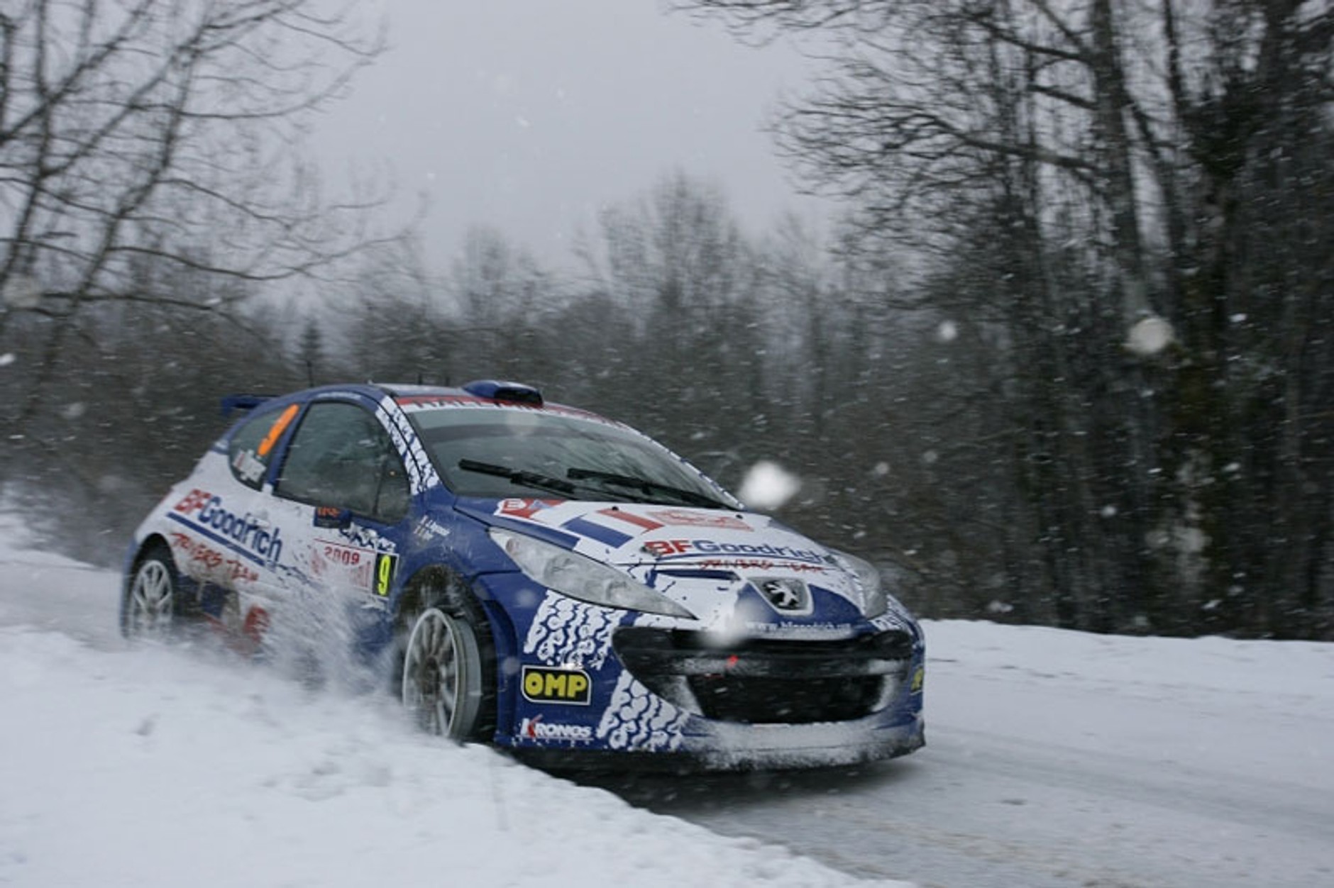 Rajd Monte Carlo 2009: fotogaleria