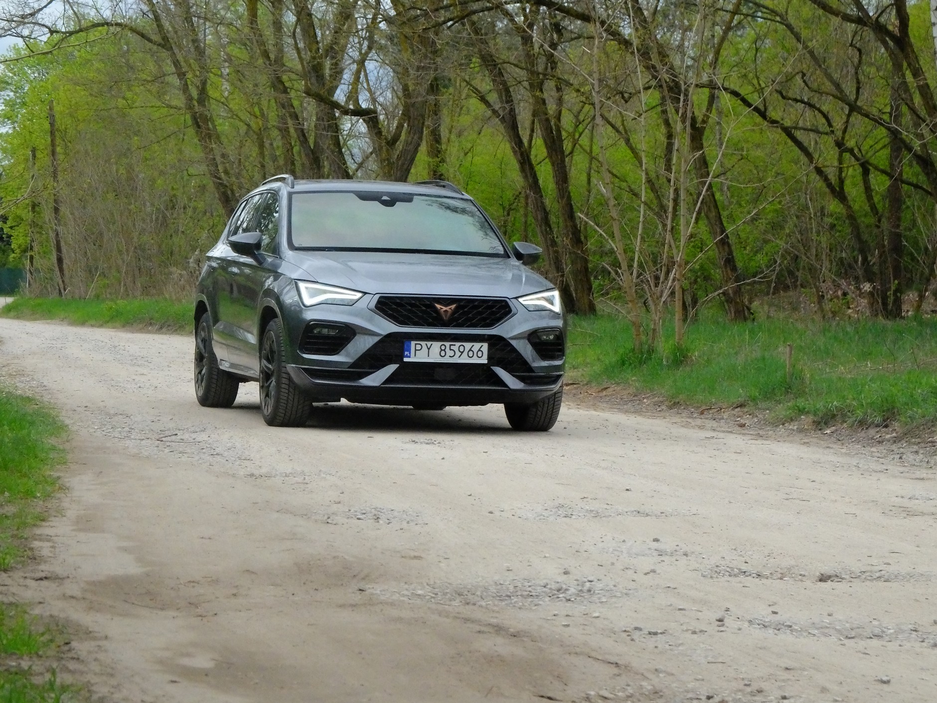 Cupra Ateca 2.0 TSI/190 KM 4x4