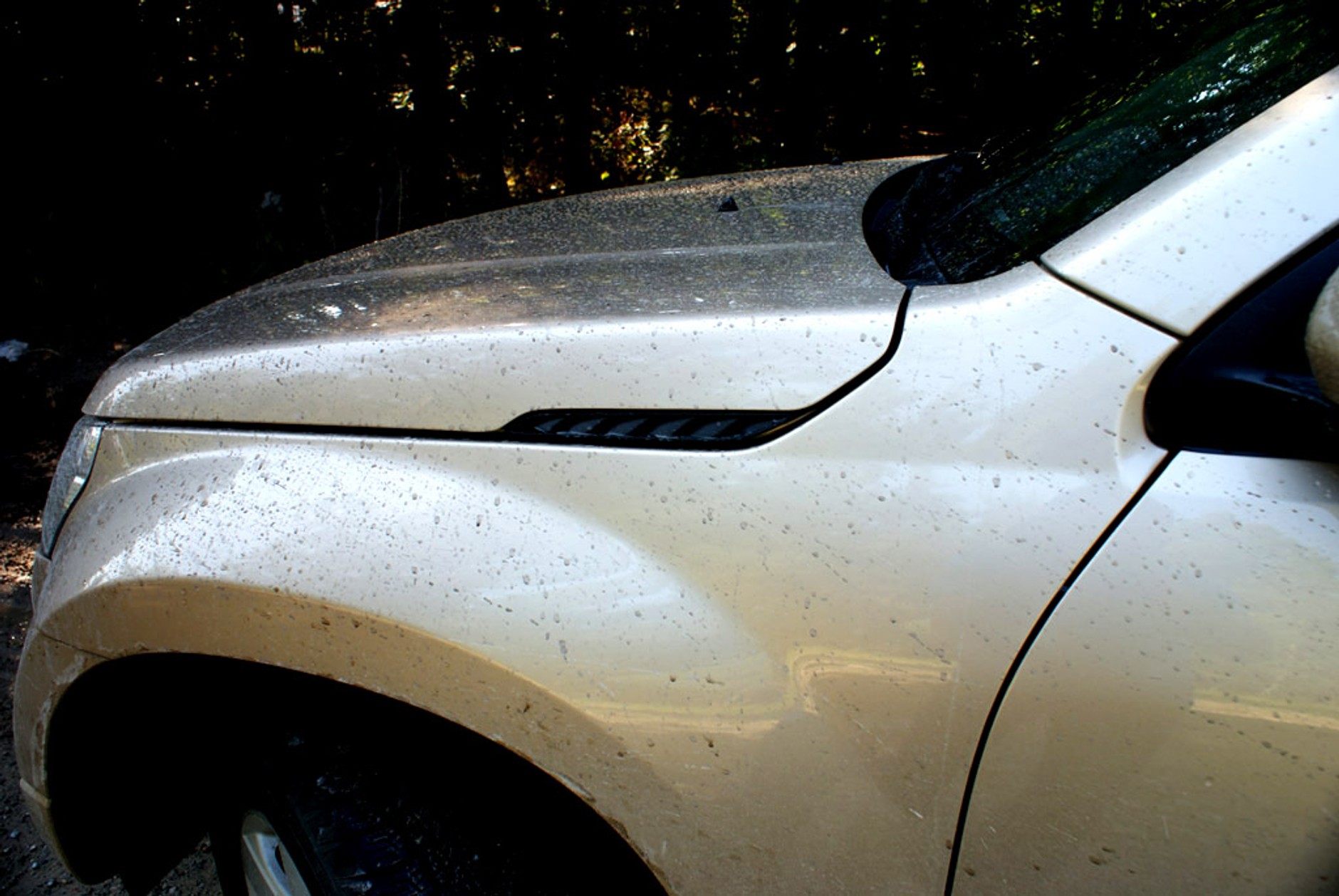 Suzuki Grand Vitara: SUV bardzo terenowy