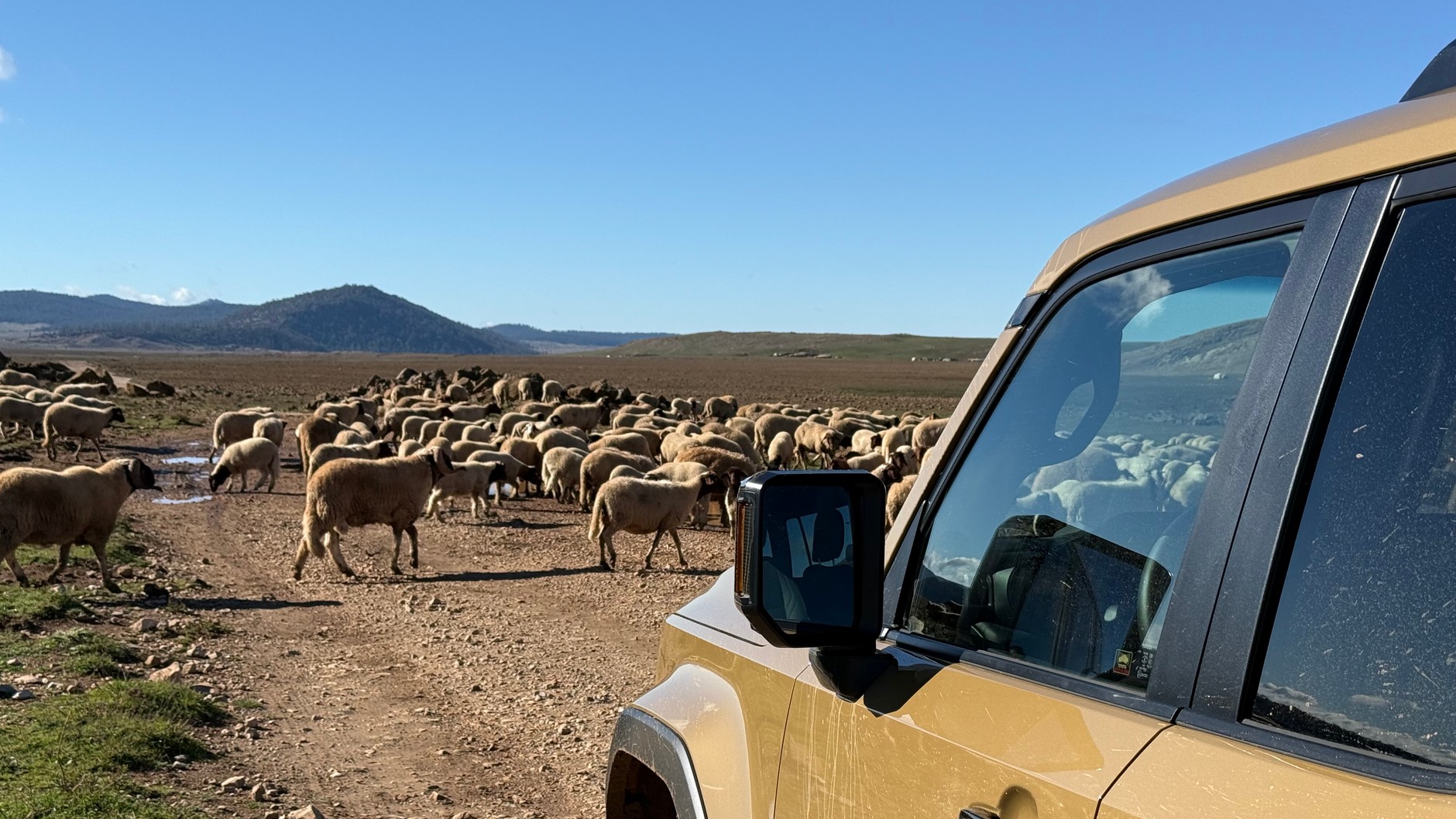 Toyota Land Cruiser 250