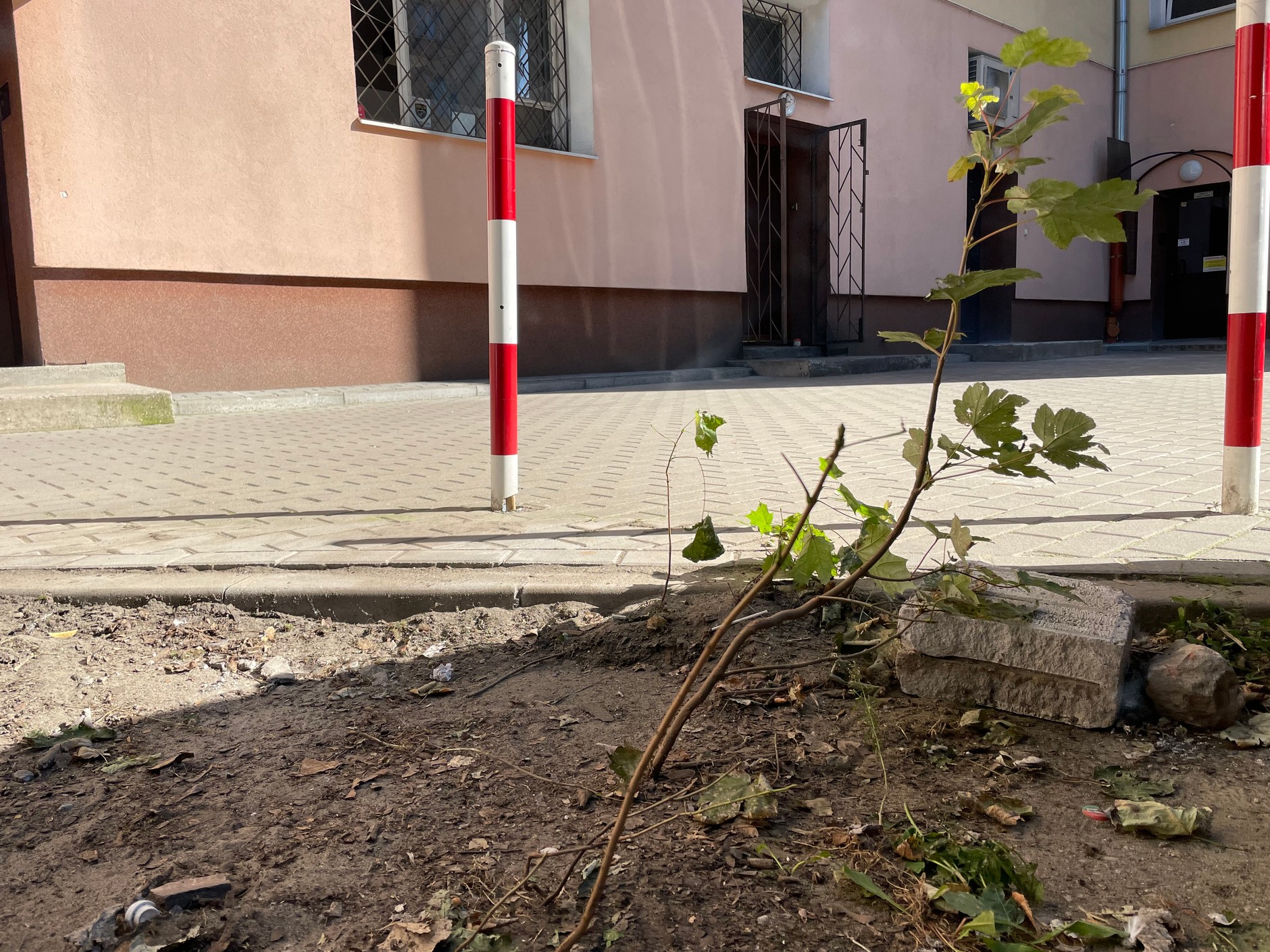 Tyle zostało po zapomnianym fiacie palio weekend