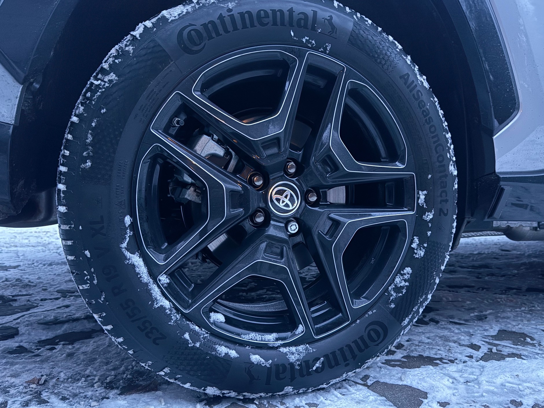 Continental sam produkuje opony, a przy okazji ma kilka innych znanych marek