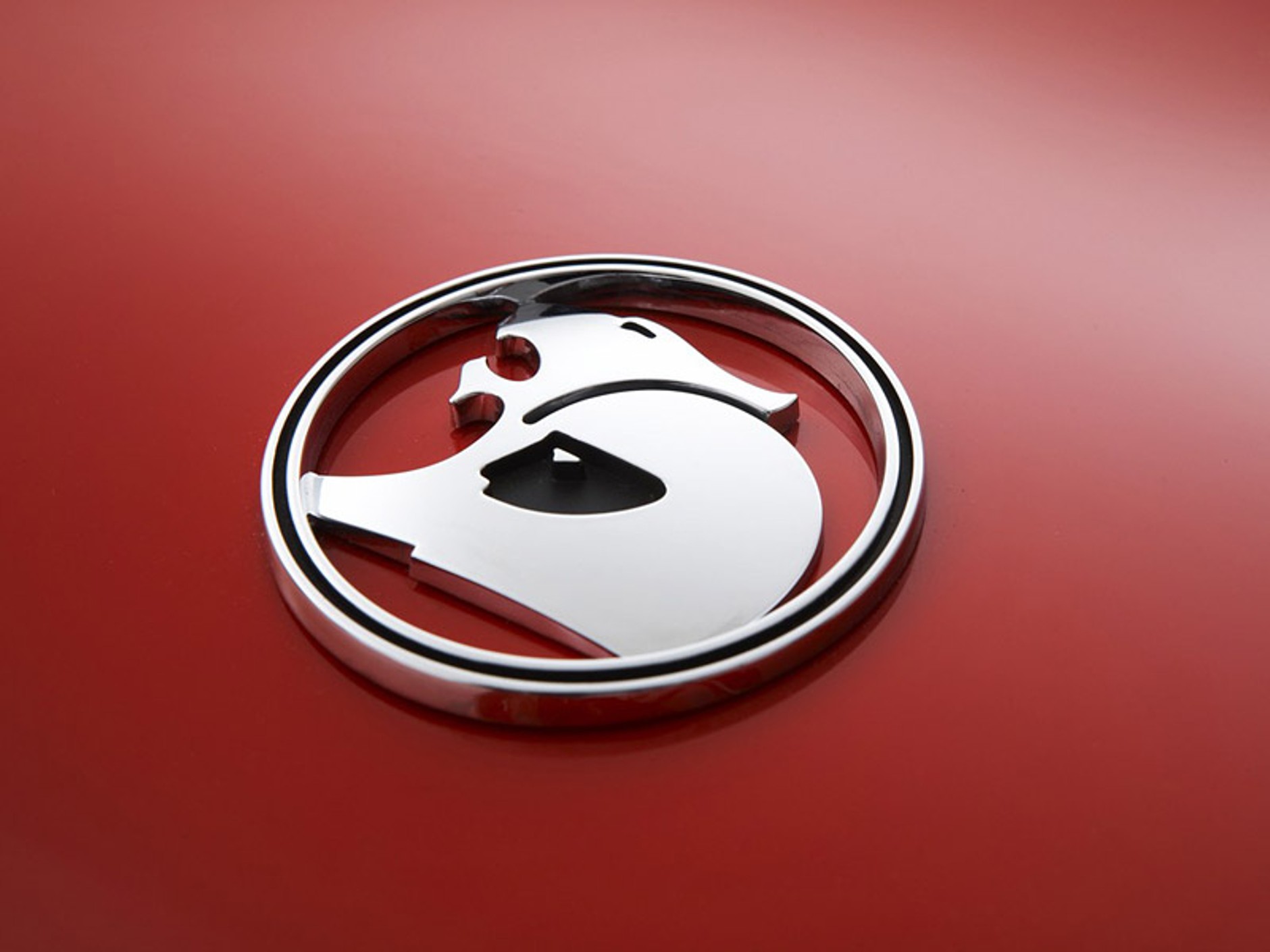 Holden HSV W427 – premiera wersji seryjnej