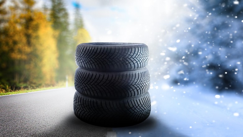 shutterstock 2386263039