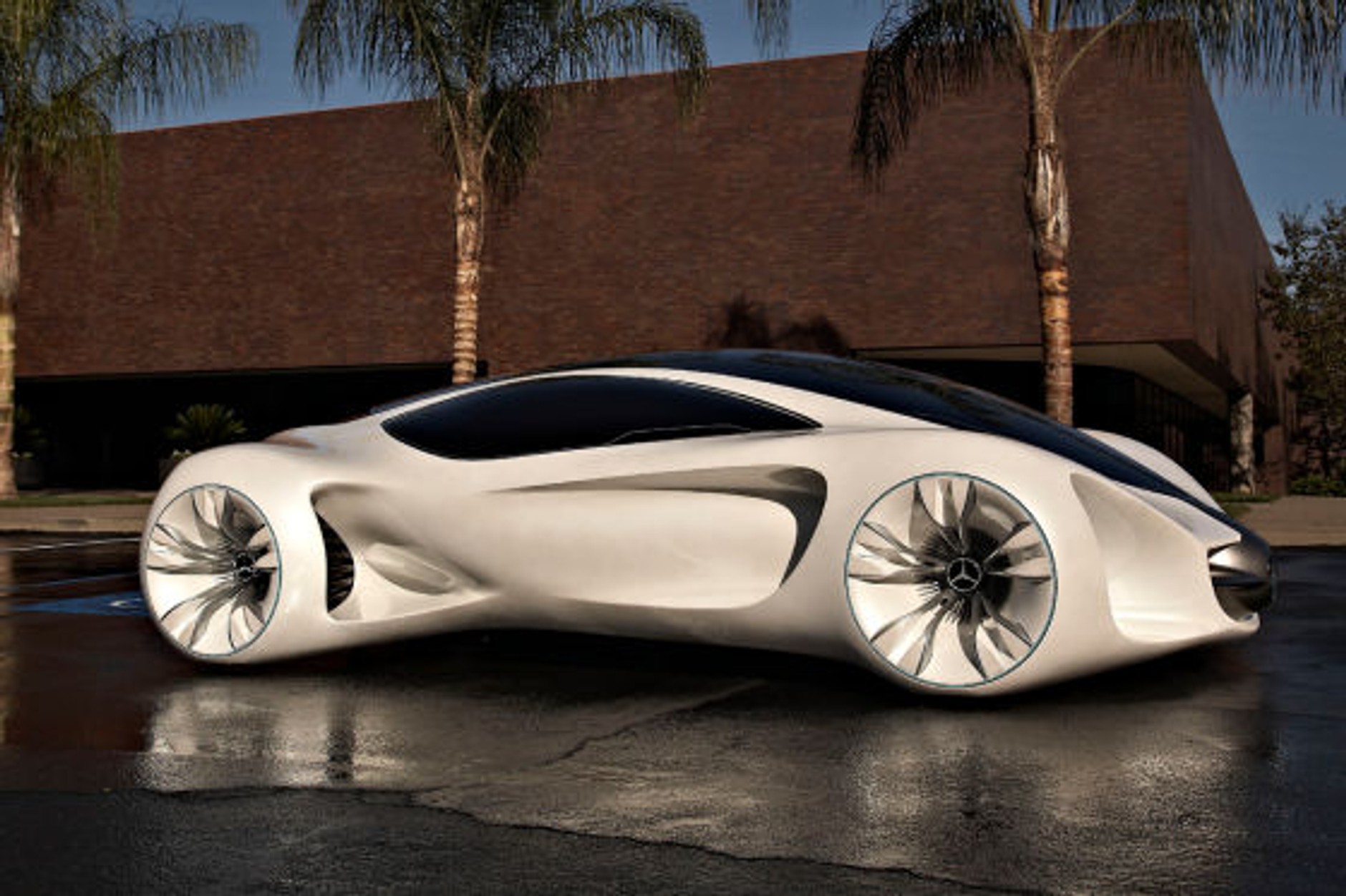 Mercedes Biome Concept