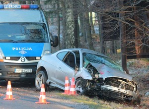 Wypadki z udziałem dzikich zwierząt - Zwierzę na drodze? Nie warto omijać!