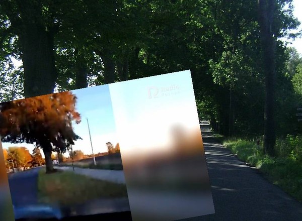 Tragiczny wypadek rejestrował na żywo na Facebooku. Uderzył w drzewo