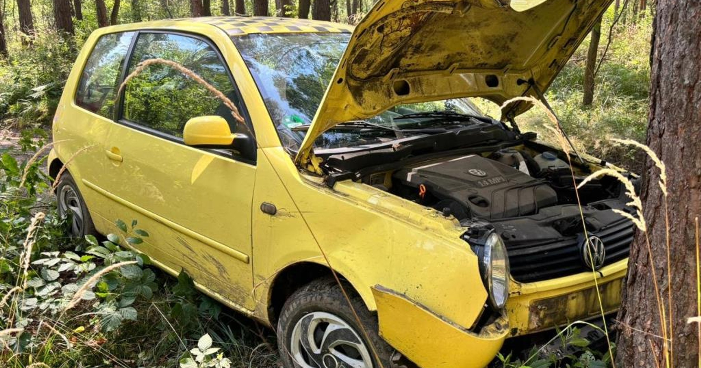 Kierował Lupo i uderzył w drzewo. Przekroczył, ale nie prędkość