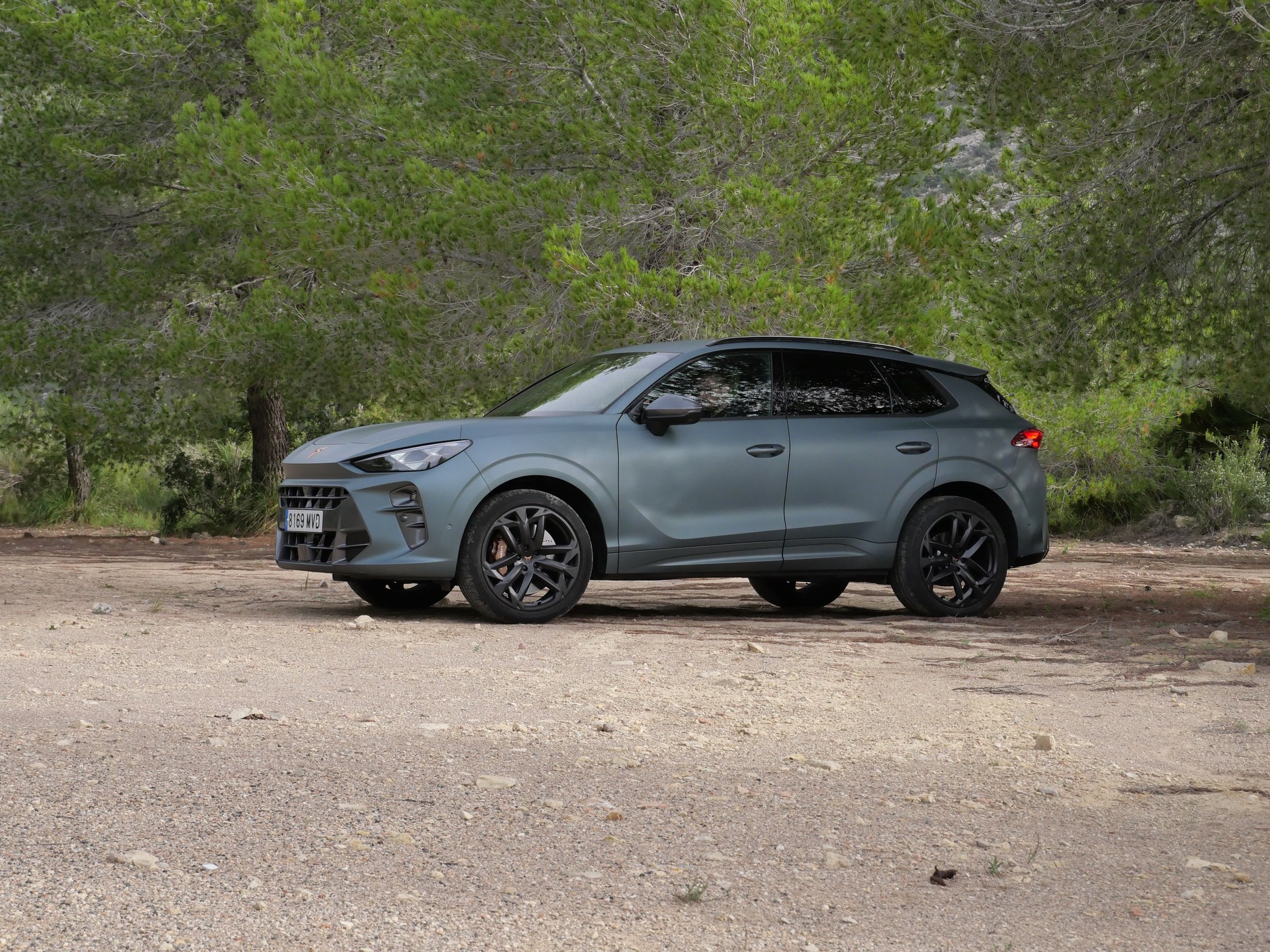 Cupra Terramar w wersji limitowanej America's Cup