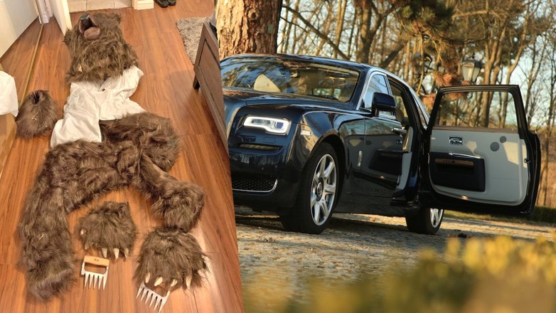 Kostium niedźwiedzia wykorzystany do oszustwa