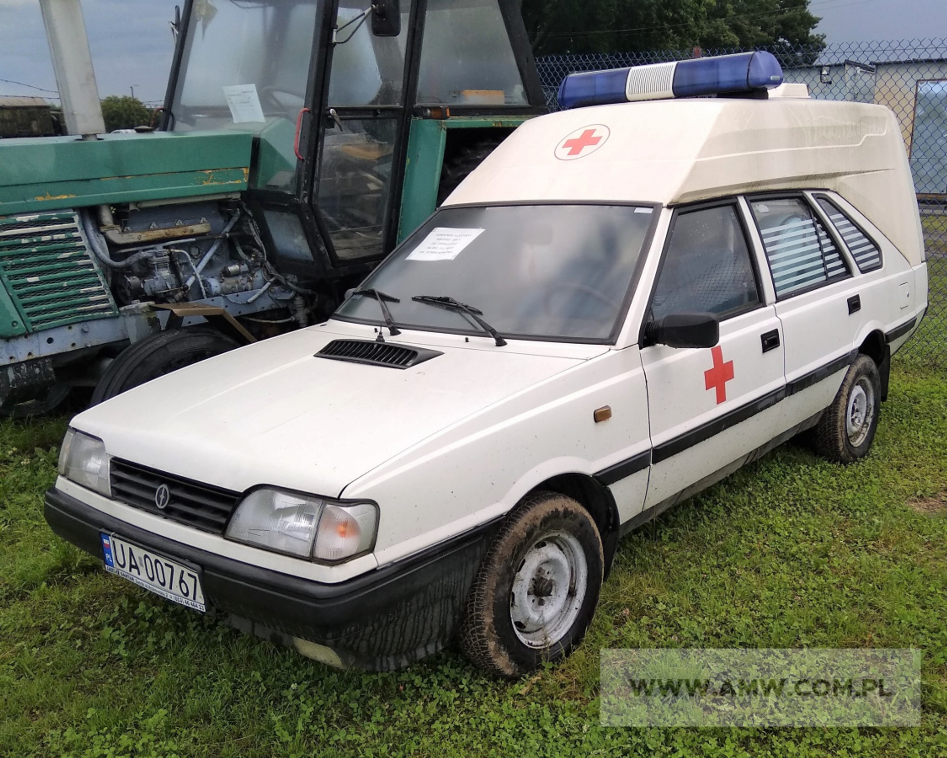 Polonez w odmianie sanitarnej