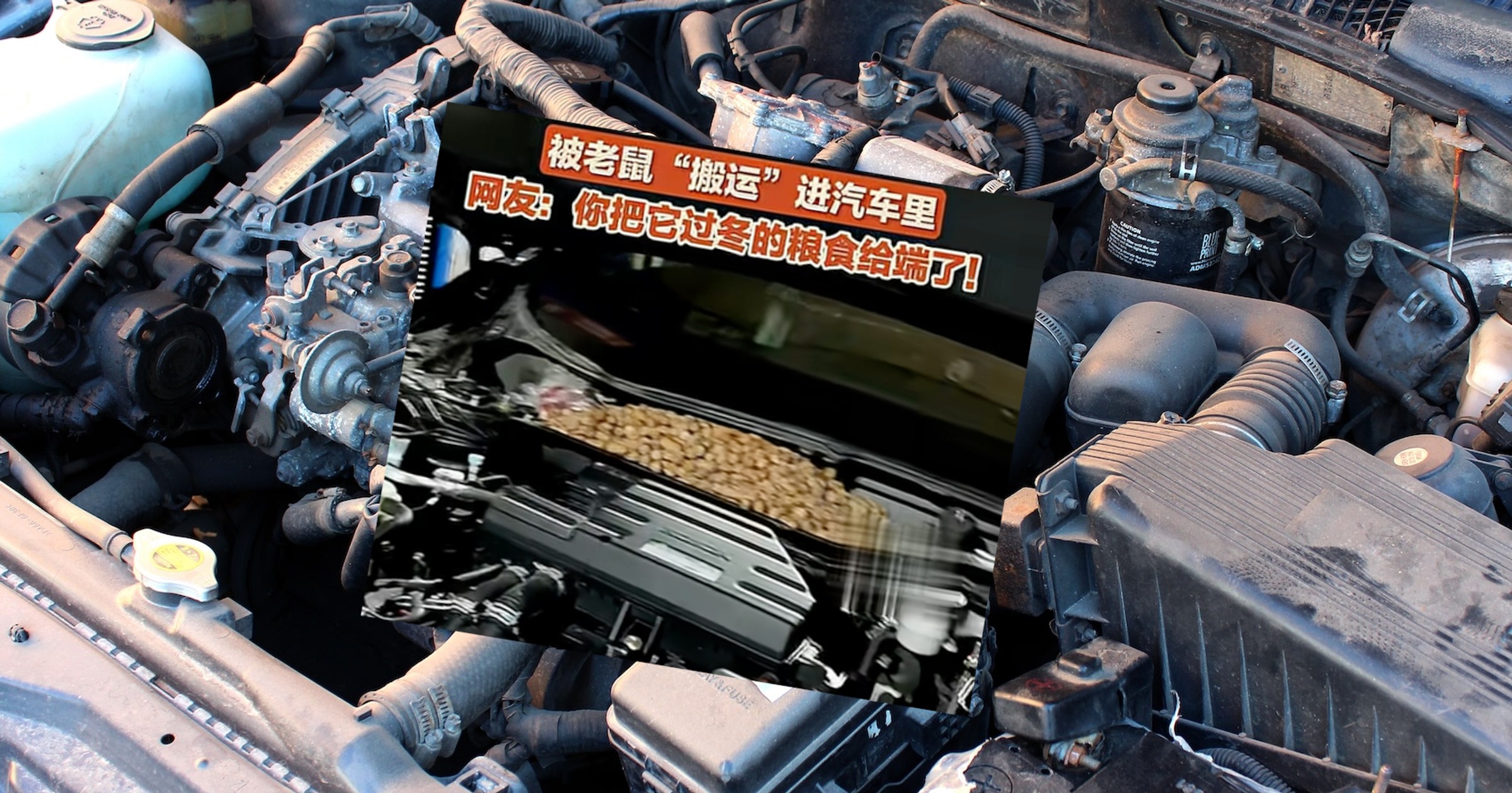 Pod maską samochodu