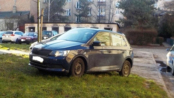 Parkowanie na trawniku
