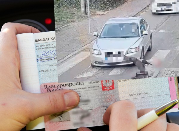 Pieszy myślał, że zawsze ma pierwszeństwo na przejściu. Trochę się pomylił