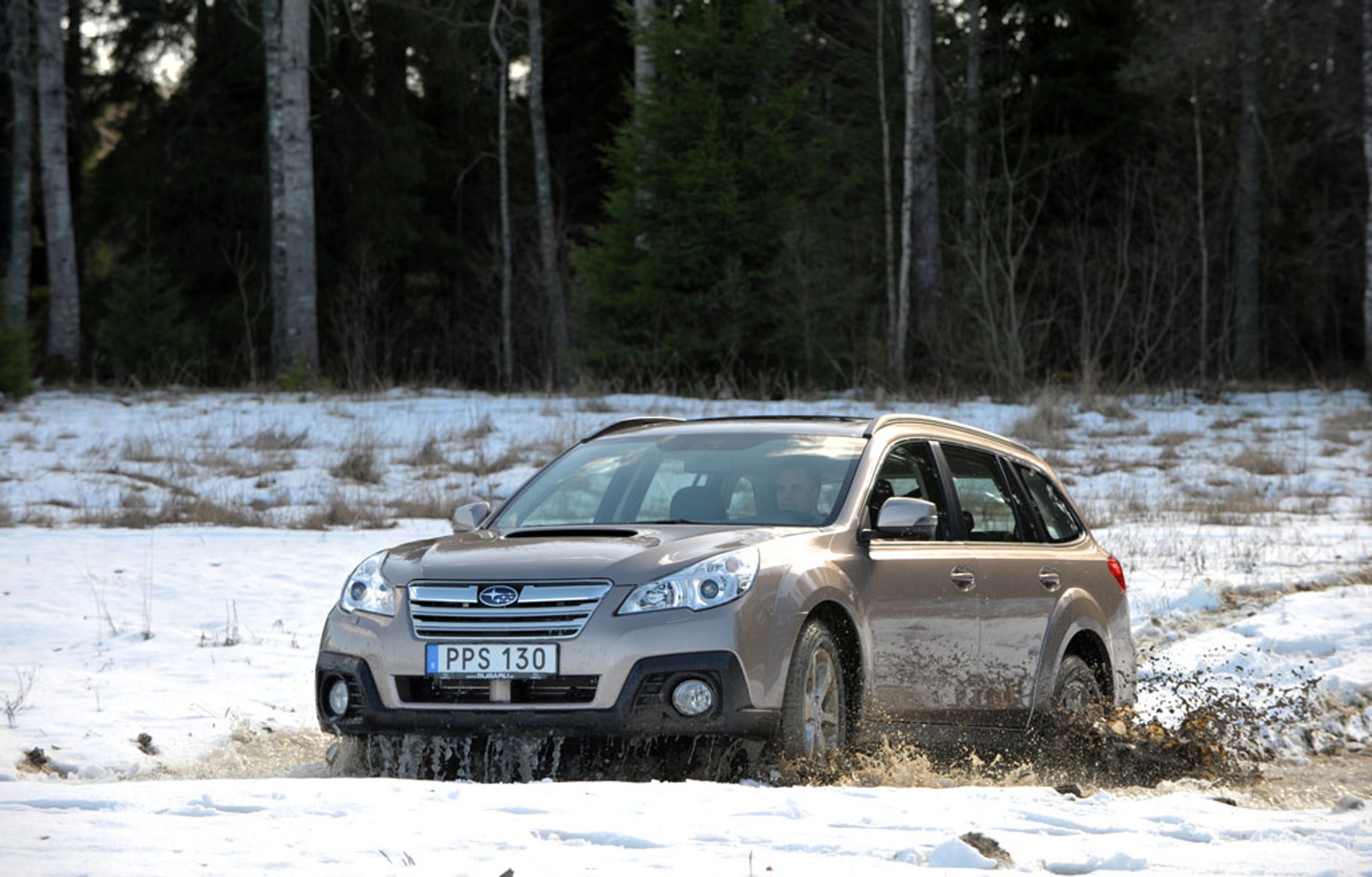 Zimowa szkoła jazdy