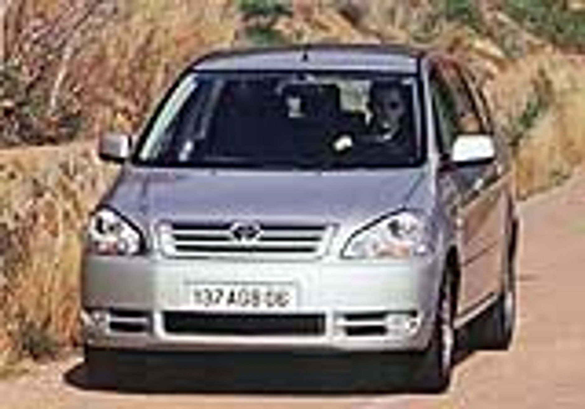 Avensis w rozmiarze XL