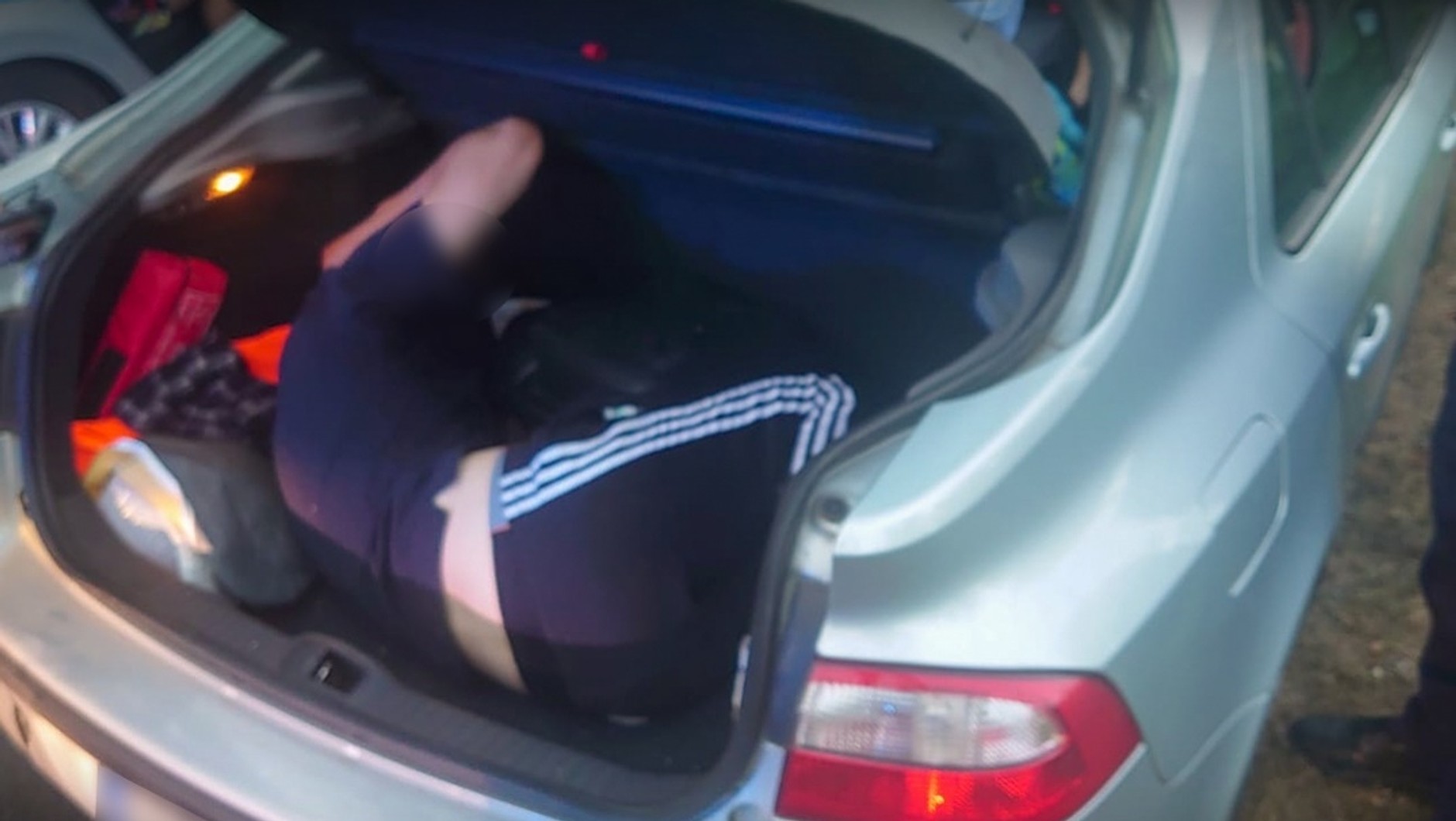 Pasażer "na gapę" w bagażniku Renault Laguny