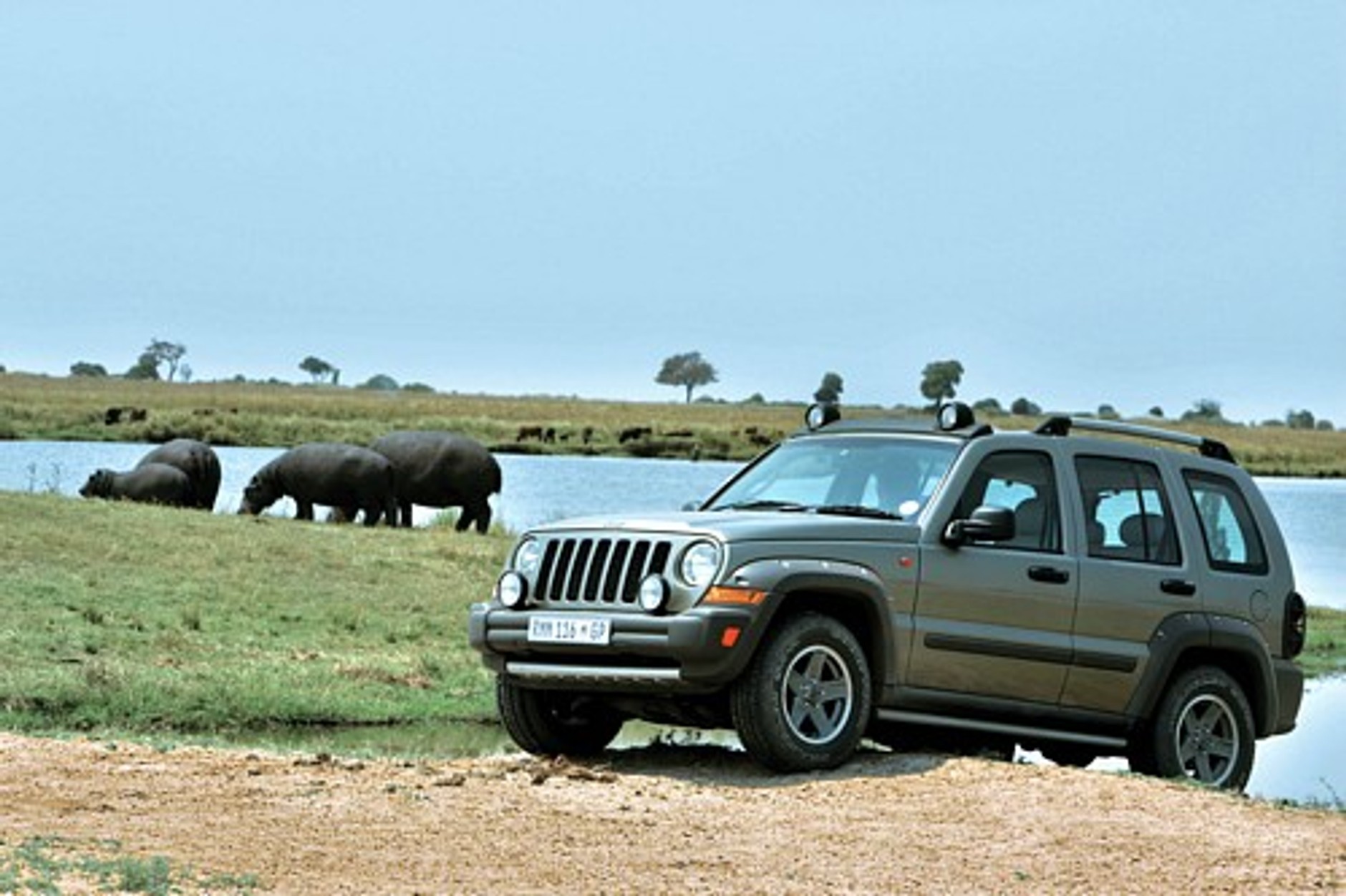 Indianin wśród słoni