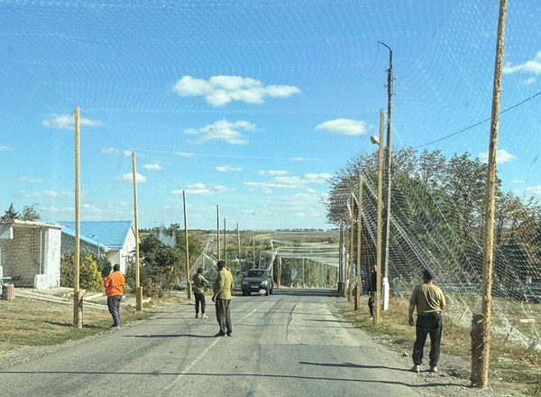 Dlaczego nad drogami wiszą kilometry sieci rybackich? Tak się dziś jeździ w Ukrainie