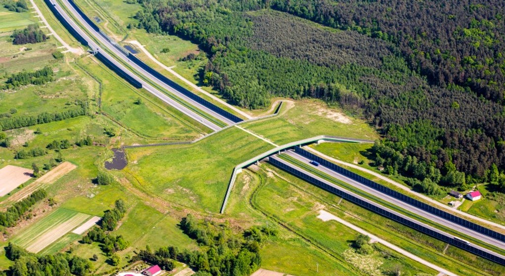 Przejście dla zwierząt. Autostrada A4