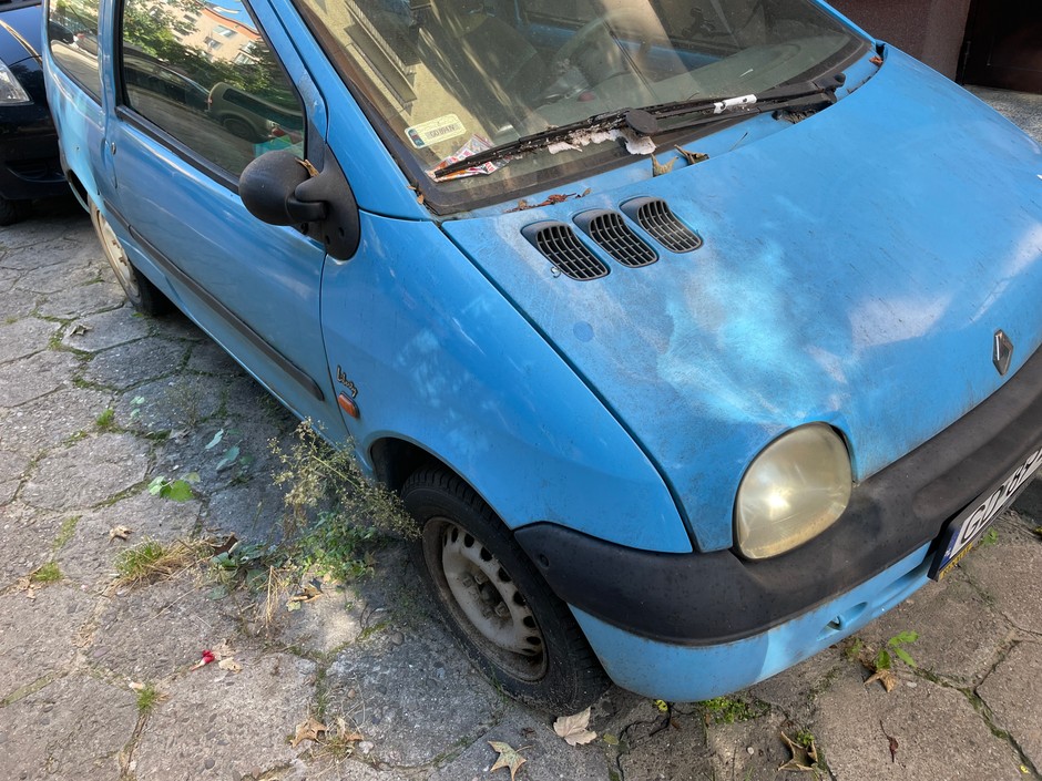 Twingo zaatakowane przez naturę pewnie też jest "martwą duszą"