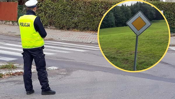 Znak D-1 to "rodzynek" na polskich drogach. Ma bardzo jasny przekaz