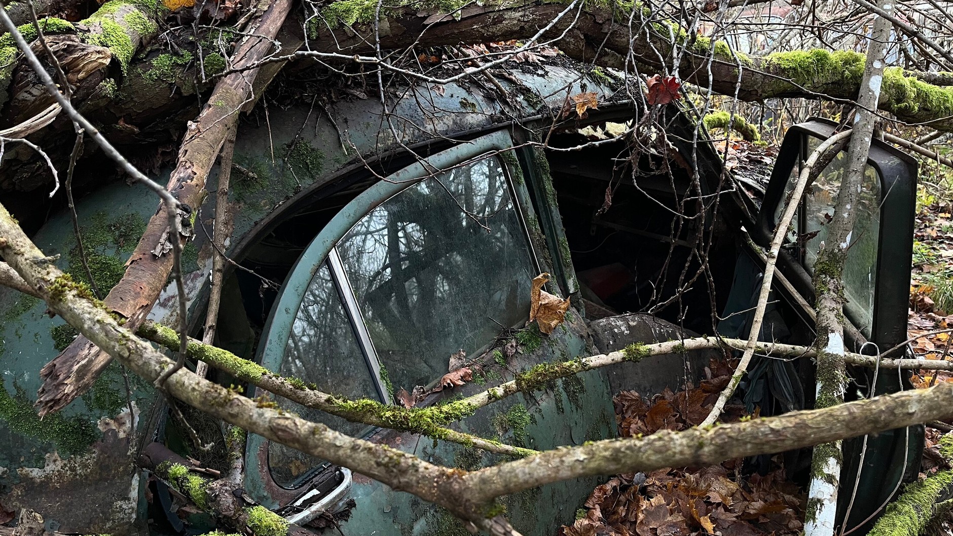 Cmentarzysko samochodów w Bastnas w Szwecji