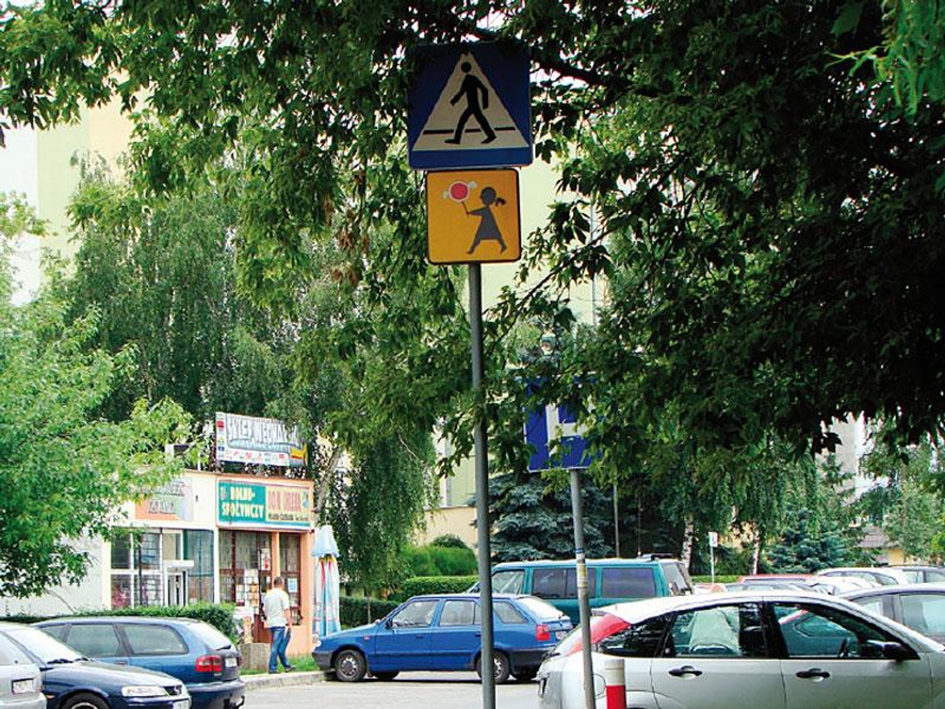 Raport NIK - stan oznakowania dróg