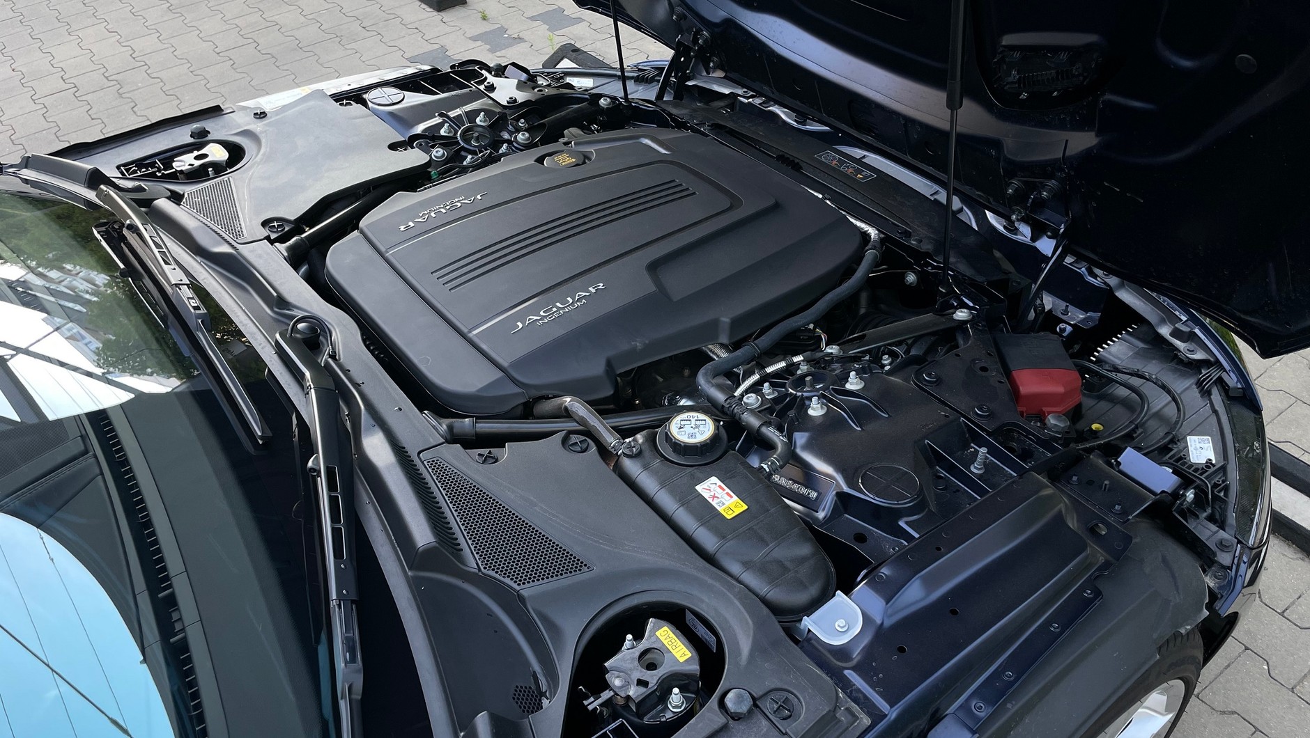Wielka maska F-Type'a skrywa malutkie, ale dziarskie serce