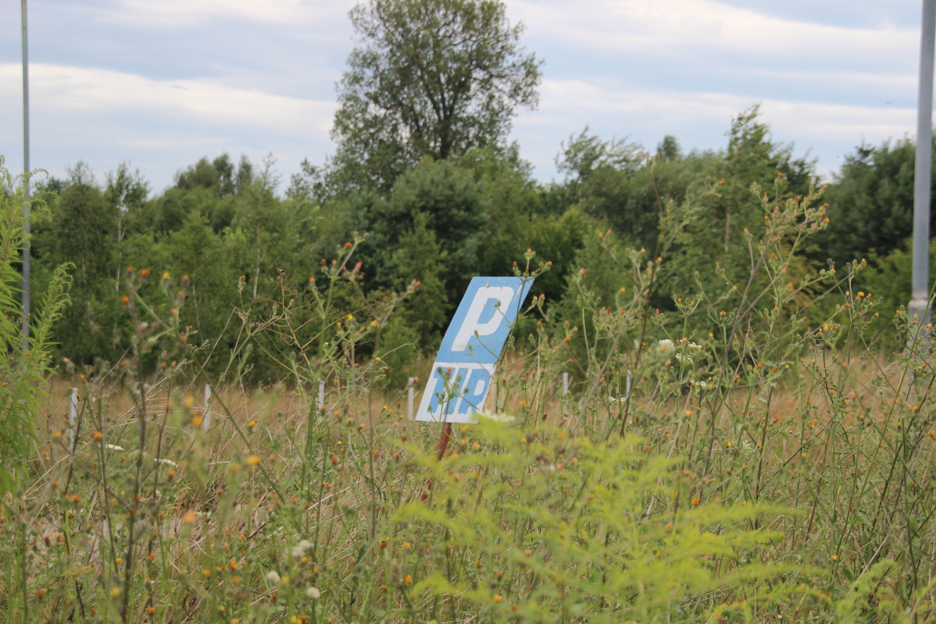 Porównałem najdroższą autostradę z drogą krajową. Da się zaoszczędzić kilkaset złotych