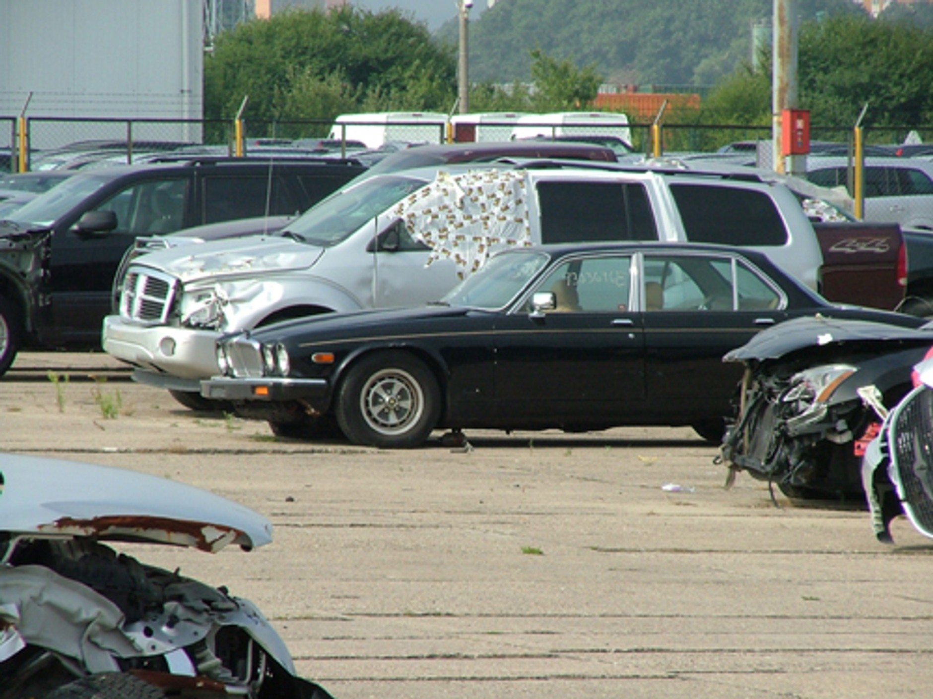 Kłopotliwe auta zza oceanu