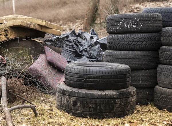11 tys. zużytych opon i 31 ton odpadów. Wolontariusze oczyścili polskie lasy