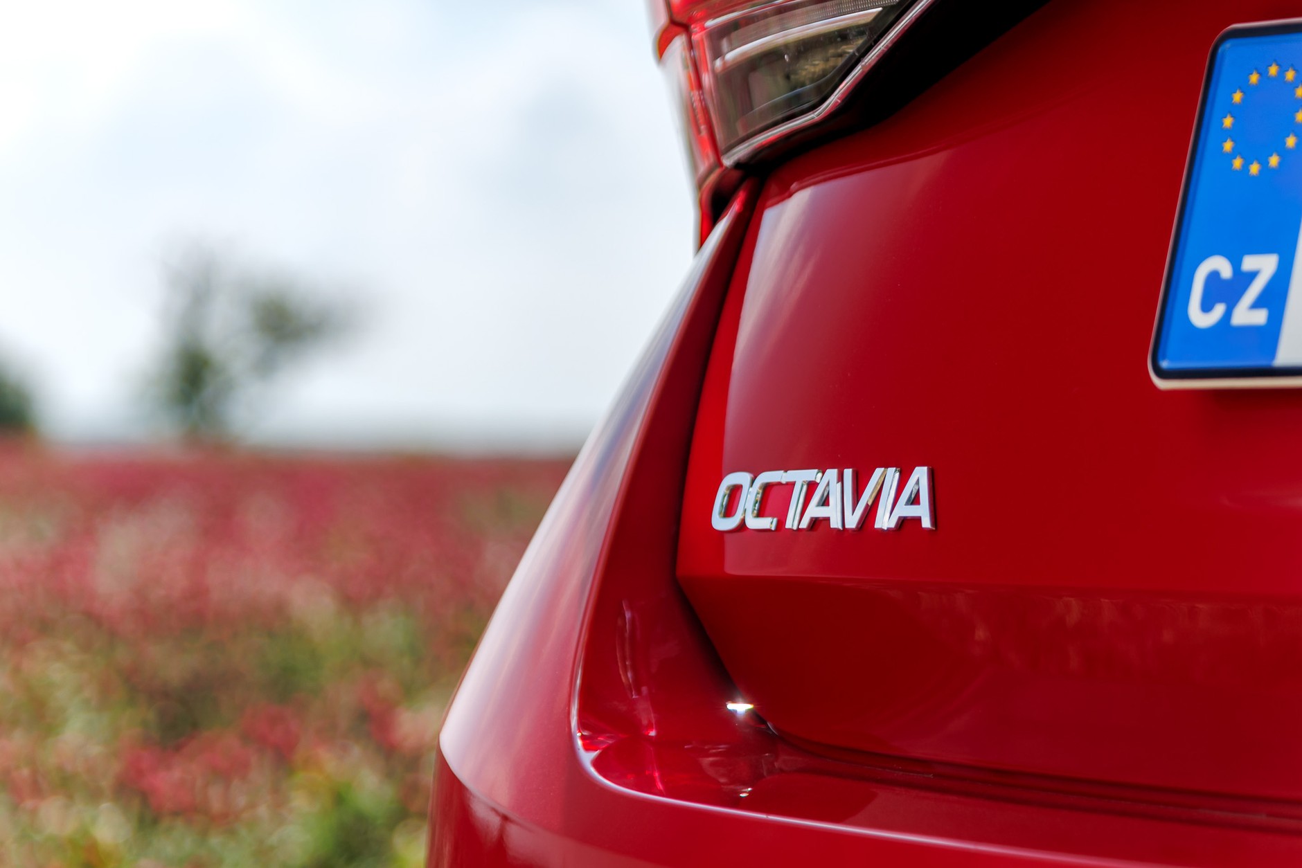 2024 Skoda Octavia