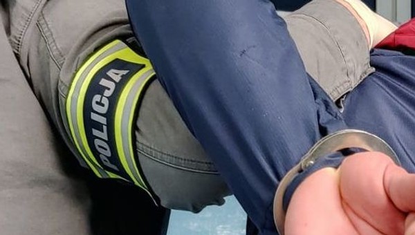 Policja odzyskała skradzione Kangoo. Usłyszała nietypowe tłumaczenie