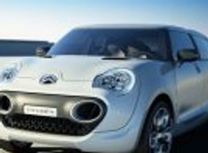 Ekologiczny Kaktus Citroena