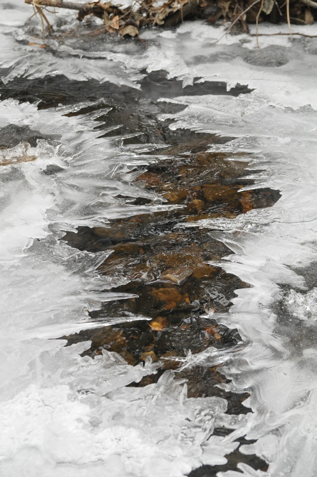 Terenowe zwiedzanie Polski