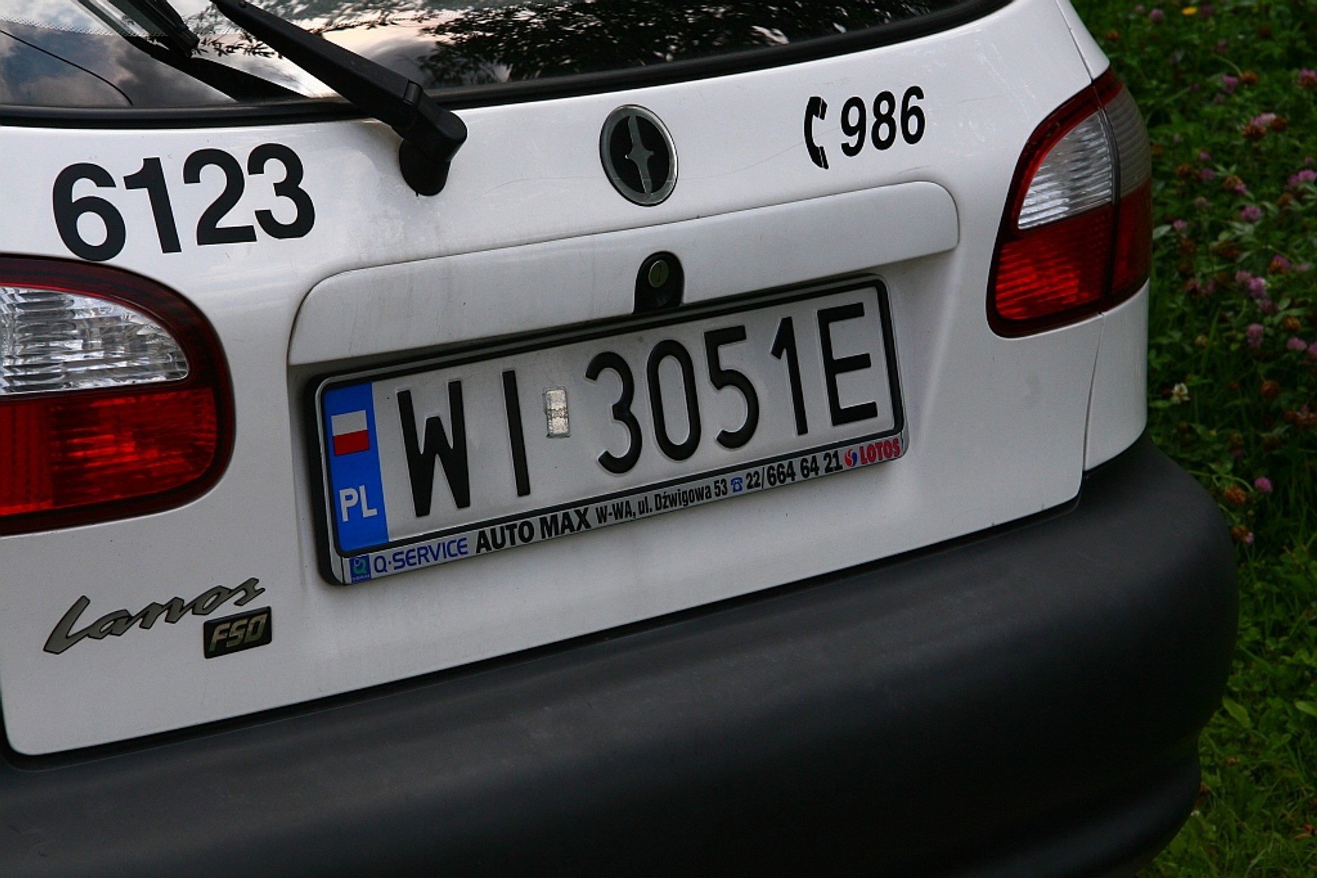 Straż miejska - Święte krowy (Wideo)