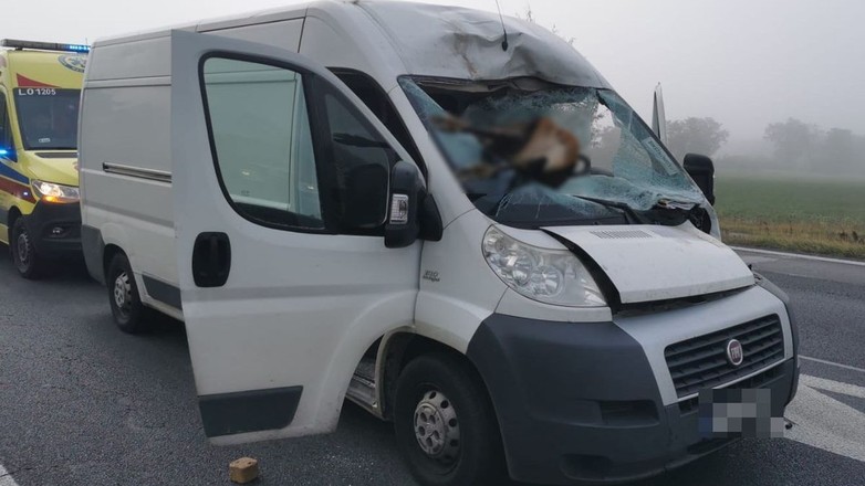 Źródło: lubartow.policja.gov.pl