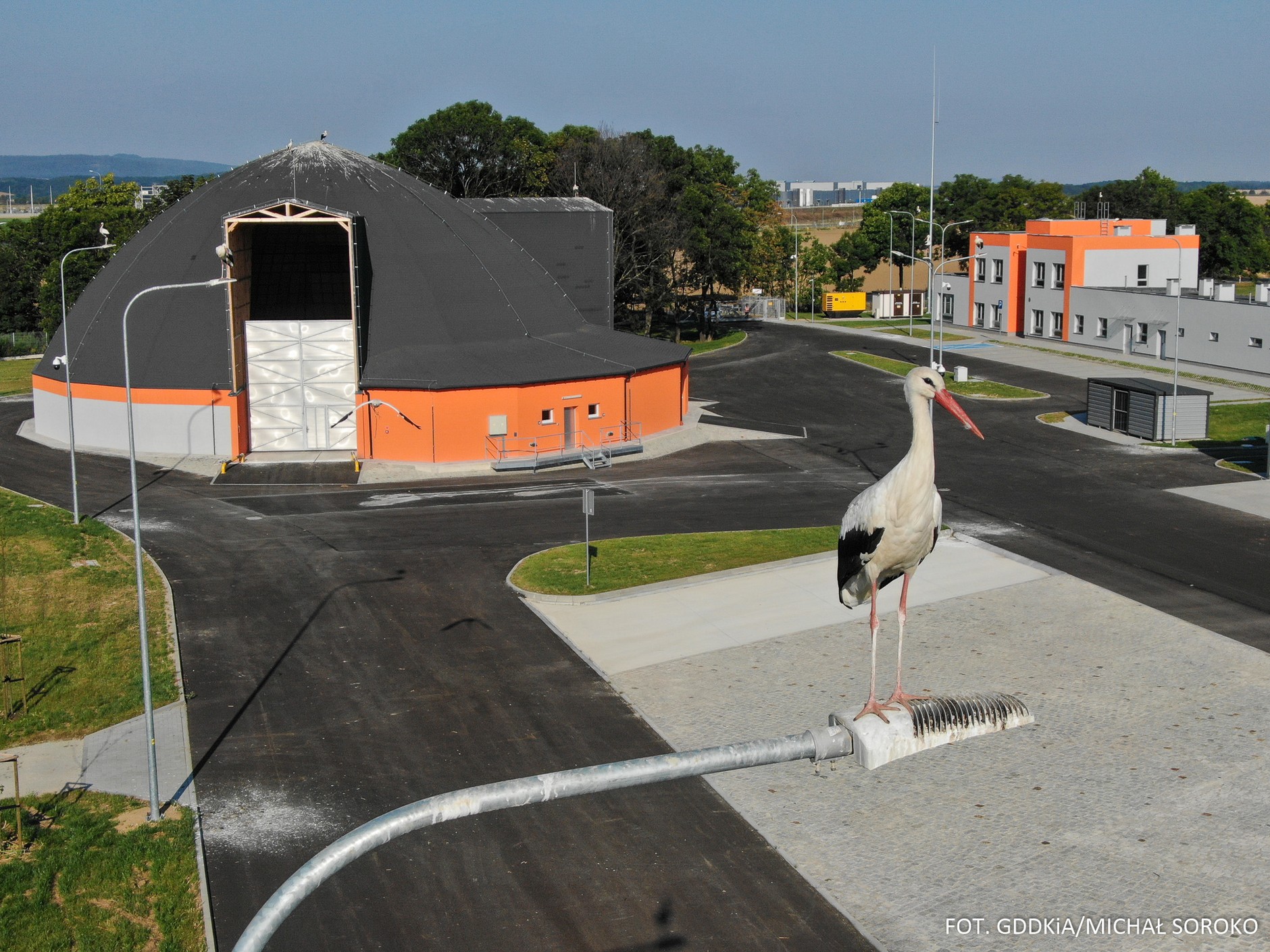 Kopuła Fitzpatricka