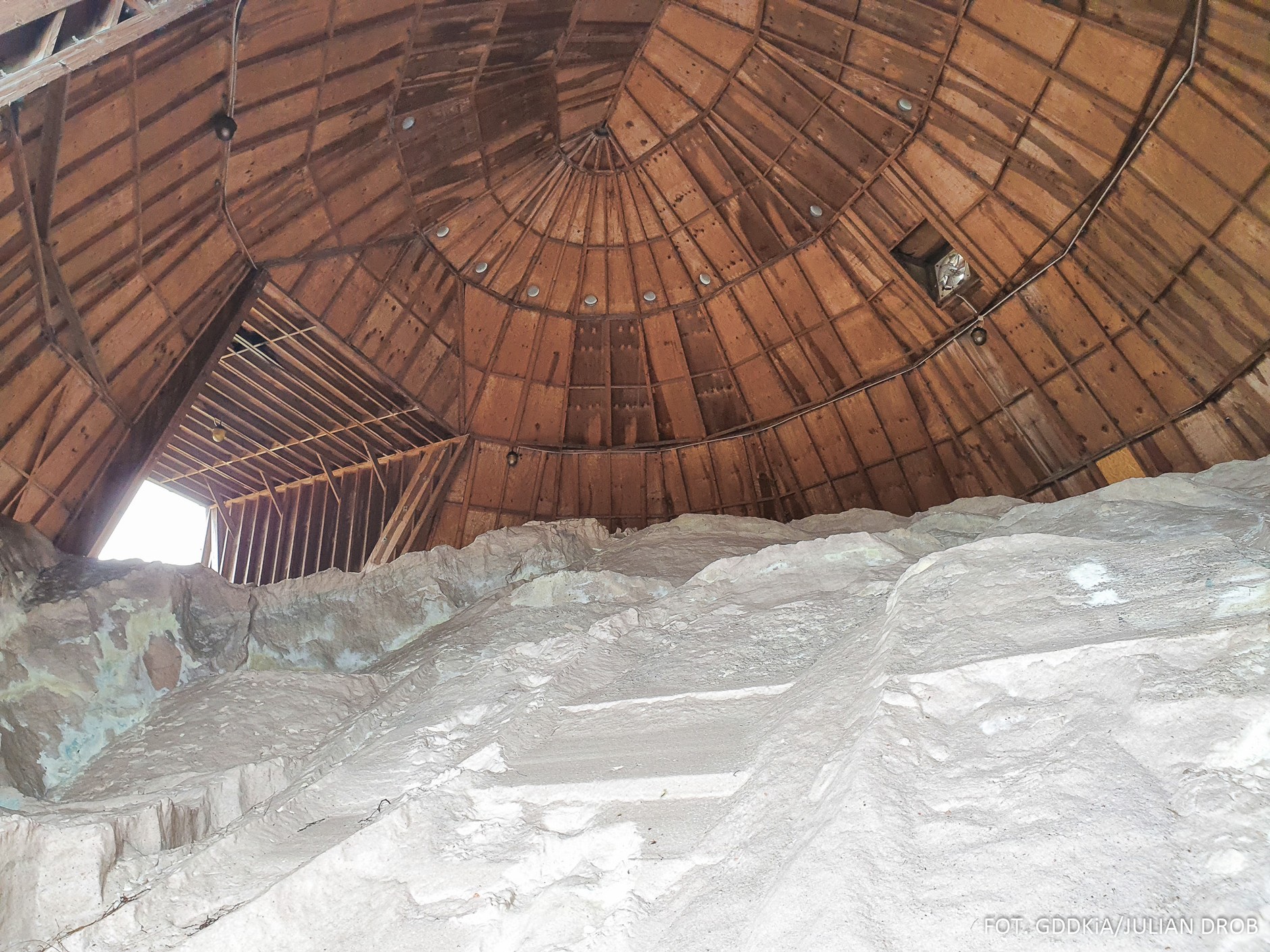 Kopuła Fitzpatricka