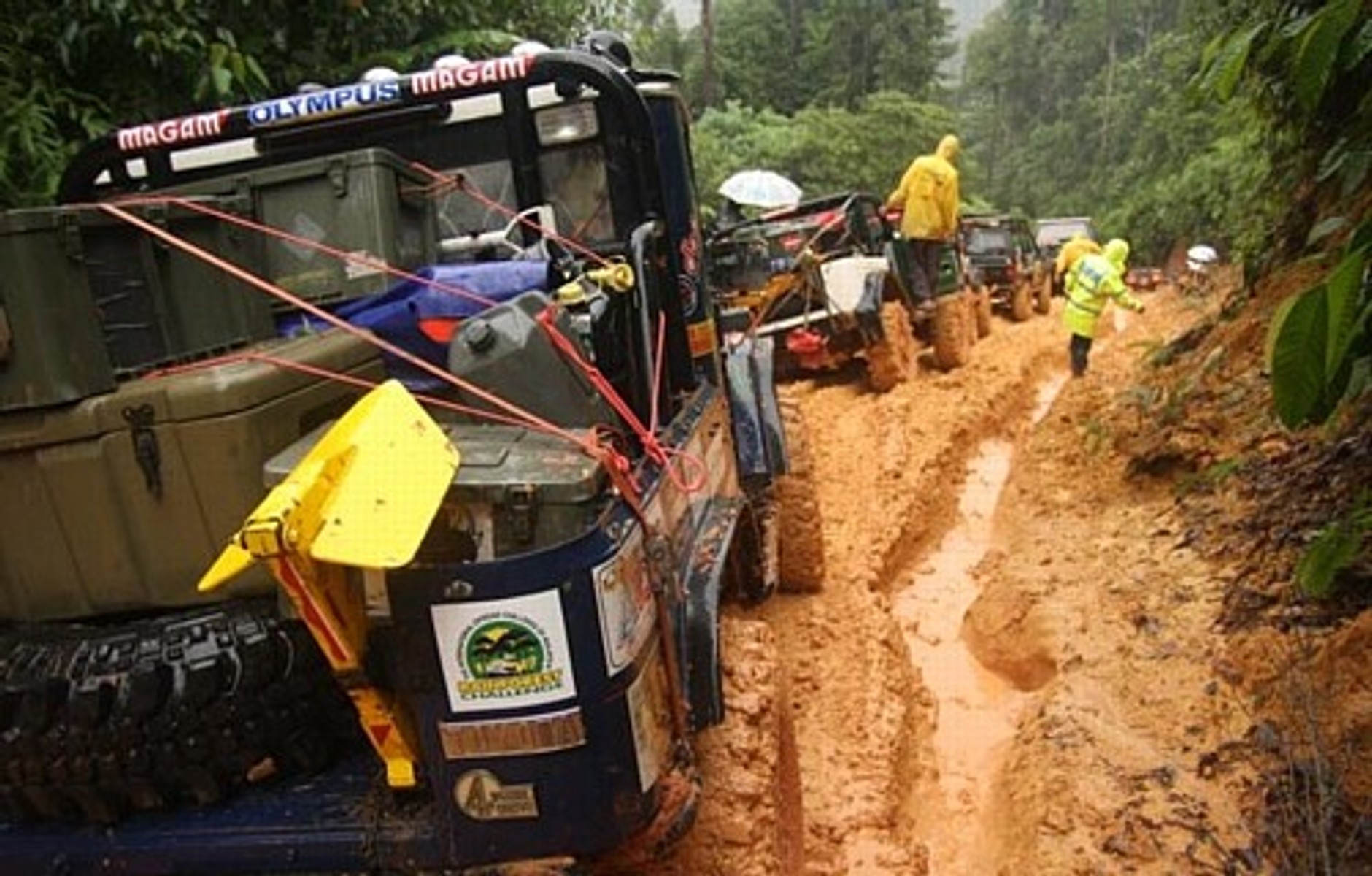 Rainforest Challenge - U wrót strefy mroku