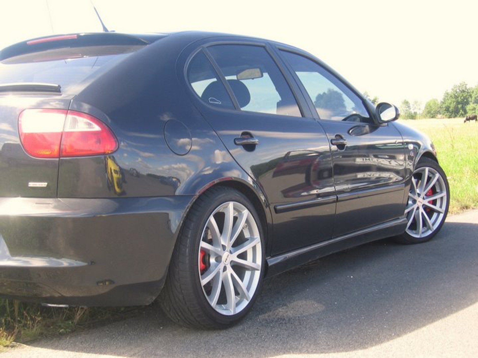 VI. Ogólnopolski Zlot LeonClub w Kielcach (24-25.04) - program imprezy