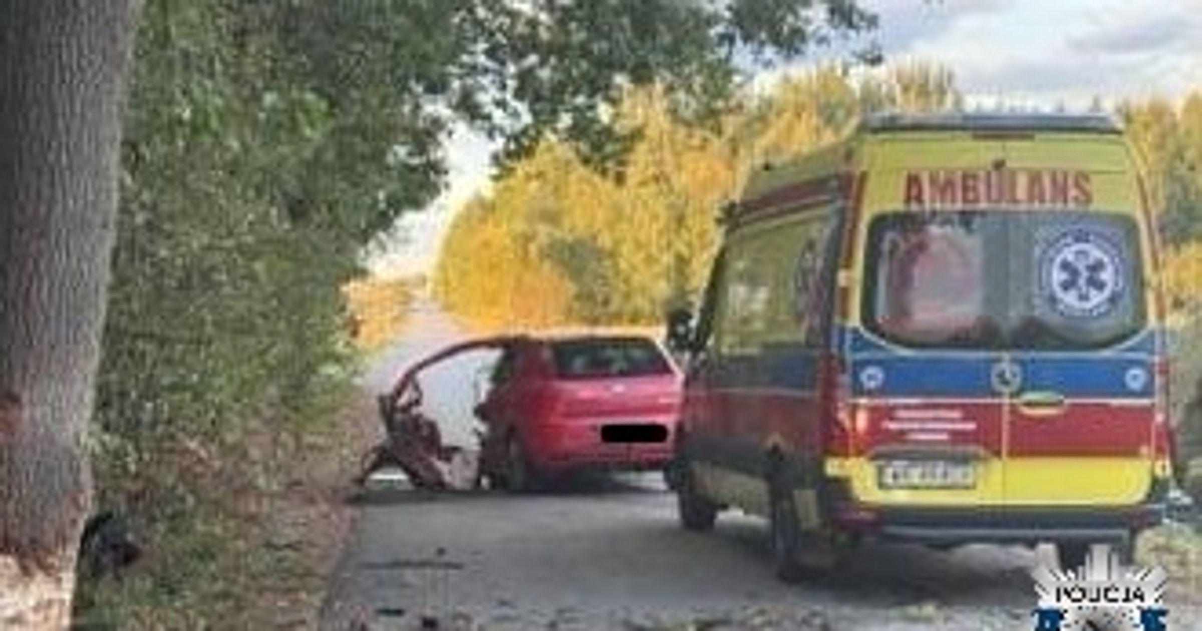 Stracił panowanie nad pojazdem i uderzył w drzewo. Tragiczny wypadek w gminie Wolanów