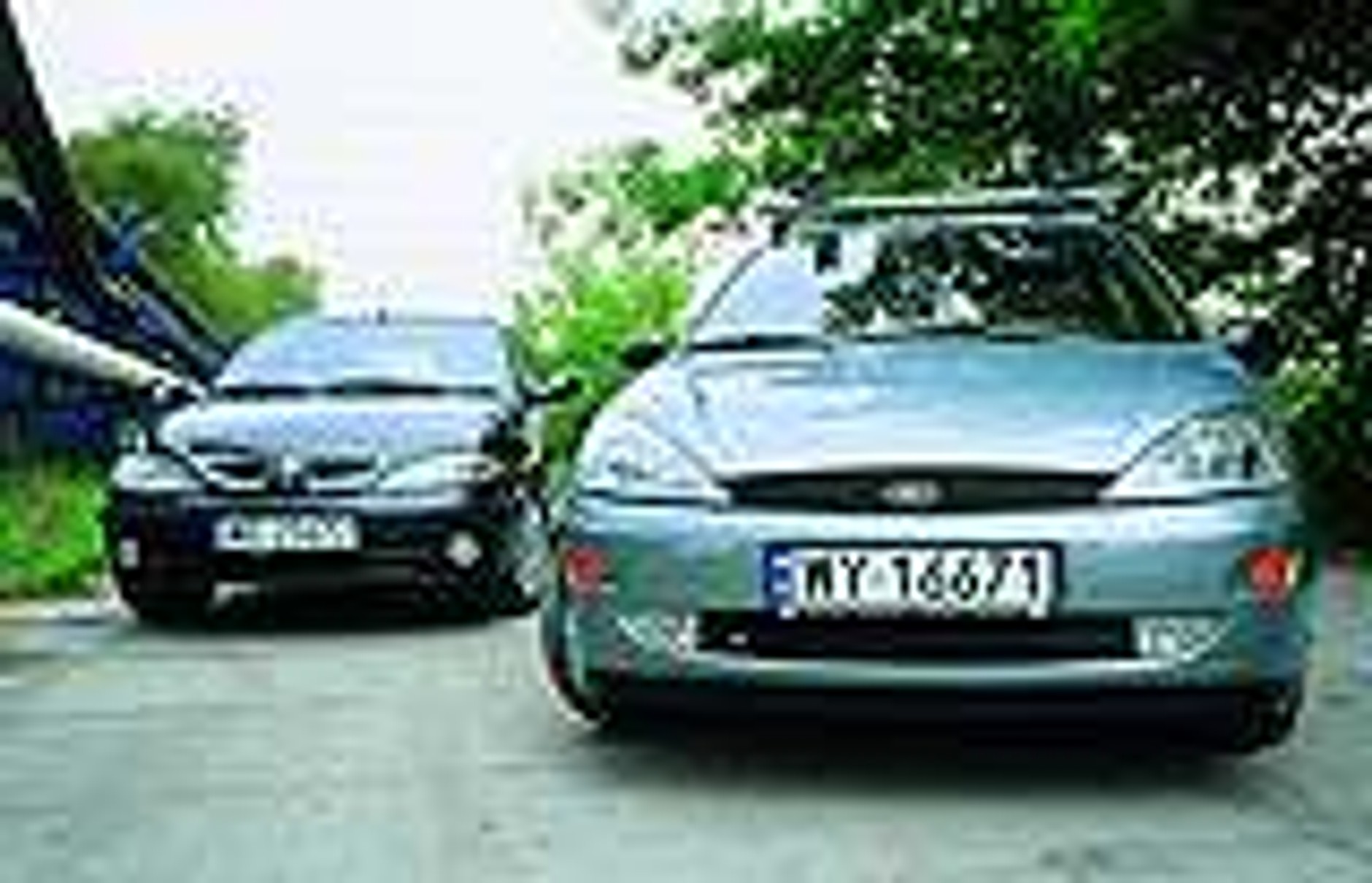 Utytułowani konkurenci