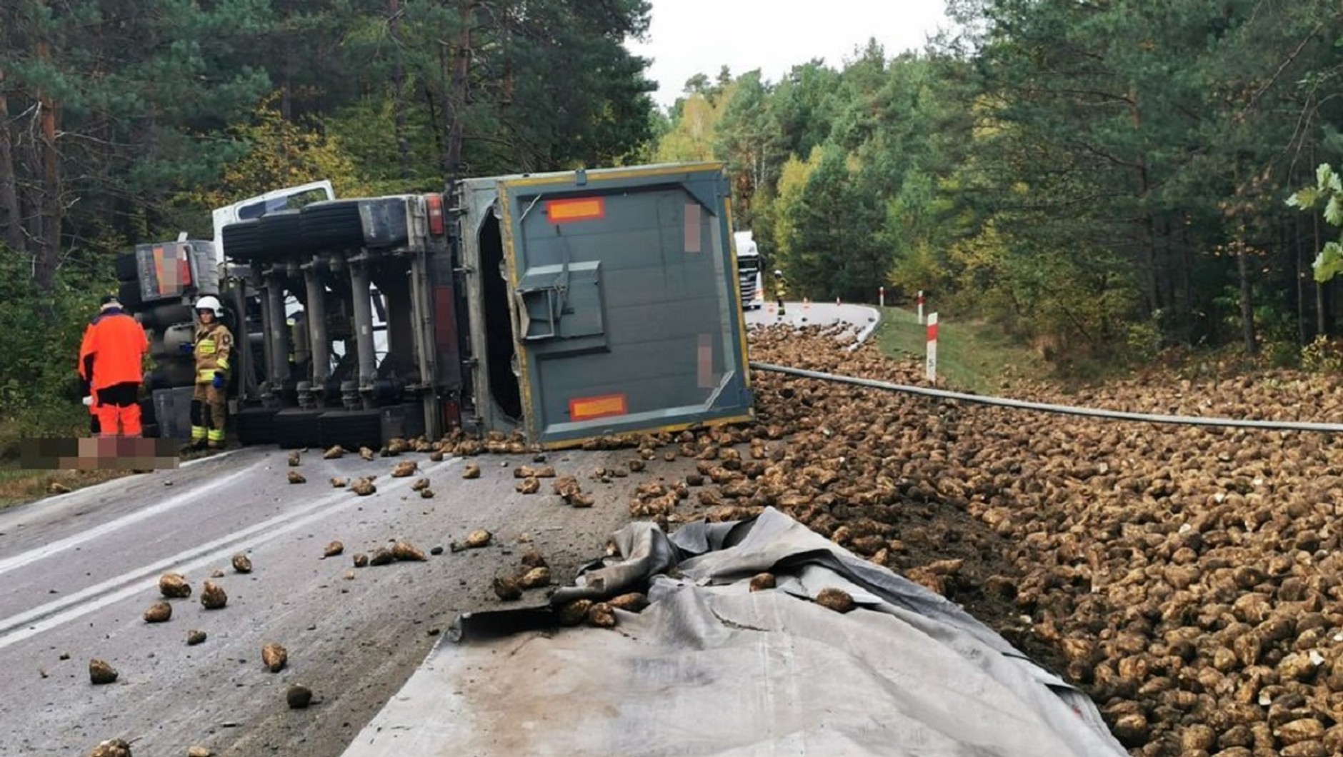 Buraki cukrowe rozsypane na jezdni