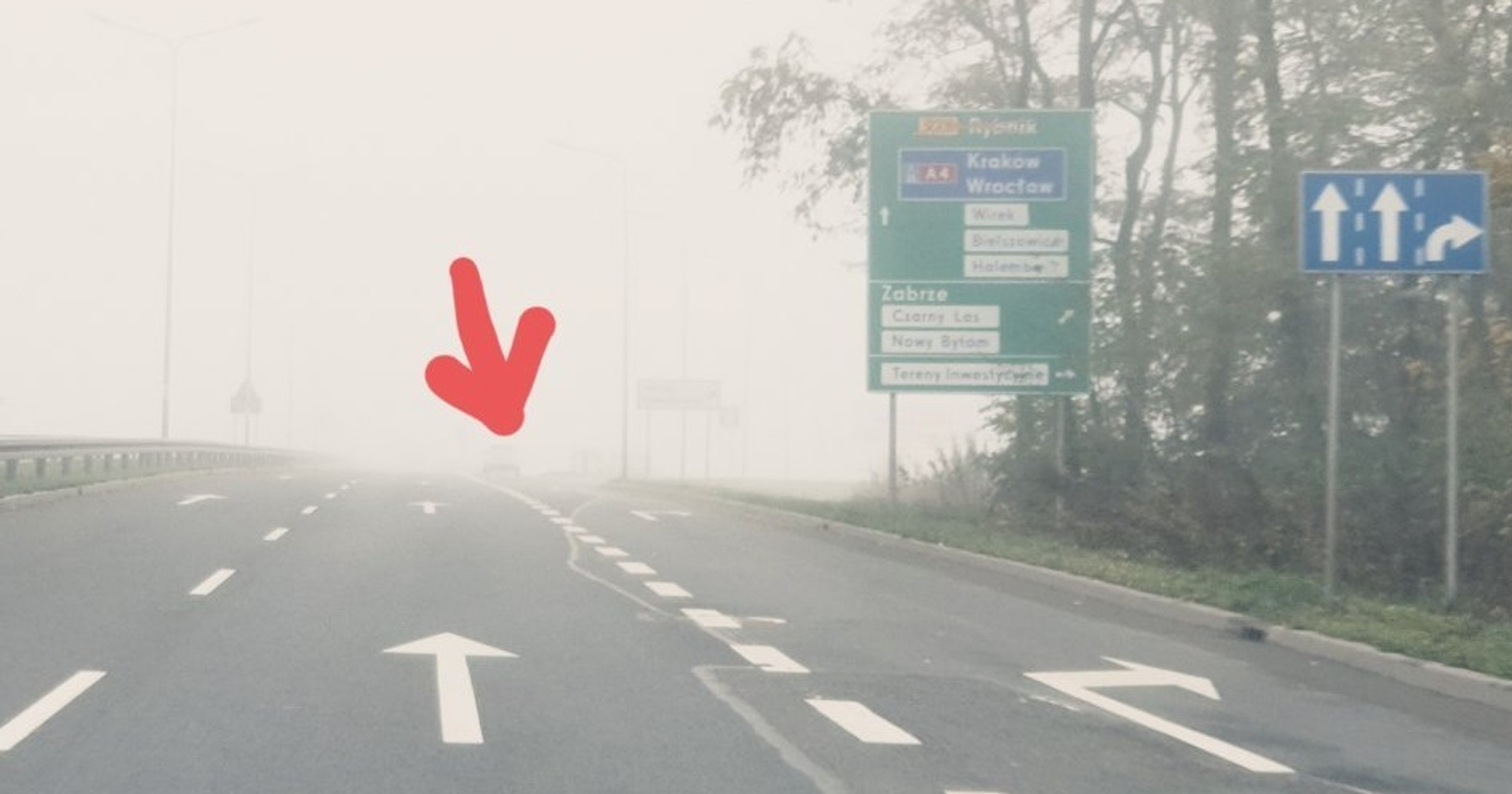 Światła dzienne we mgle
