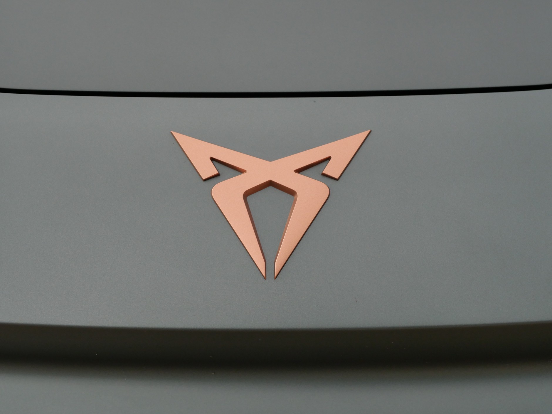 Cupra Terramar w wersji limitowanej America's Cup