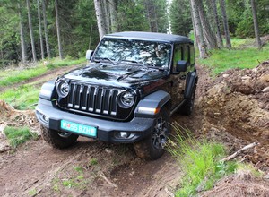 Na offroad do lasu i to legalnie? Ruszyła ankieta Lasów Państwowych